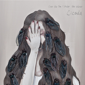 王子文门爱犬和妻子是哪一集
